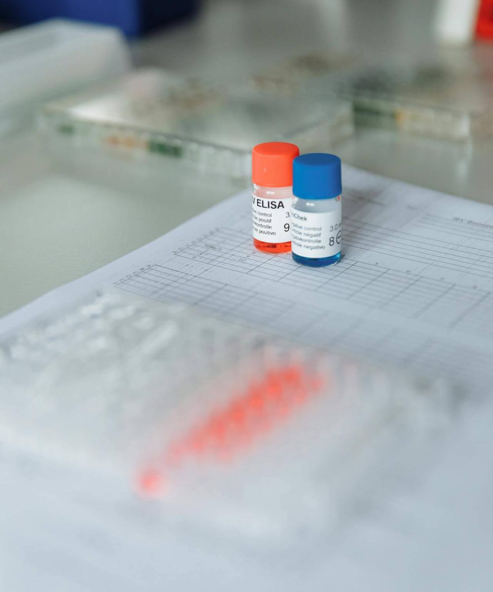 Vaccination Records Review